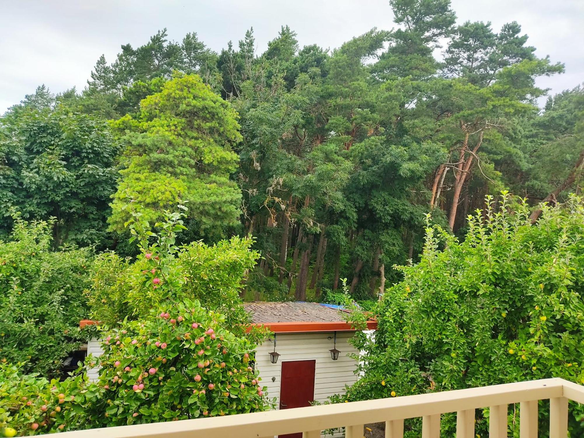 Kopa Cabana Palanga Esterno foto